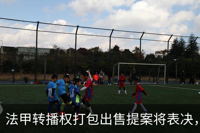法甲转播权打包出售提案将表决，自营平台年入不足9000万欧